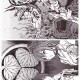 Shunya Yamashita / One Voice / maxiol_One_Voice_90671_.jpg