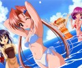 Sister Princess (Sister Princess RePure) /  / maxiol_sister_princess_art_136828_.jpg