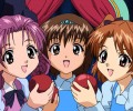 Sister Princess (Sister Princess RePure) /  / maxiol_Sister_Princess_wallpaper_119879_.jpg