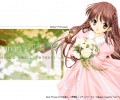 Sister Princess (Sister Princess RePure) /  / maxiol_Sister_Princess_wallpaper_120077_.jpg