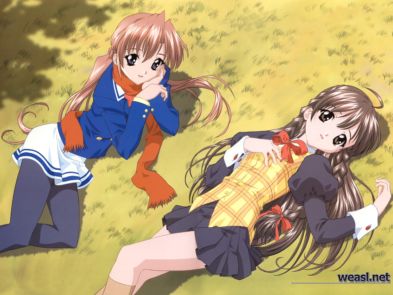 Sister Princess (Sister Princess RePure) /  / maxiol_Sister_Princess_wallpaper_120078_.jpg