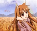 Spice and Wolf /     /  Ookami to Koushinryou  /  / maxiol_Spice_and_Wolf_wallpaper_121491_.jpg