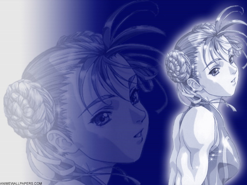 Street Fighter ( ) /  (characters) /   (Chun li) / maxiol_Street_Fighter_Chun_li_150870_.jpg