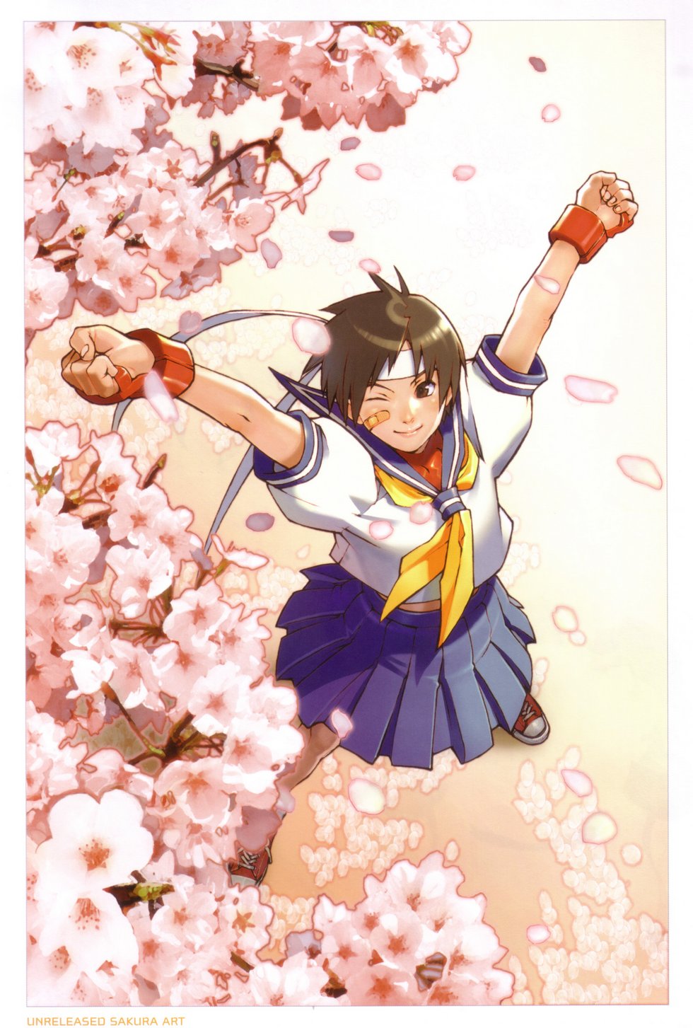 Street Fighter ( ) /  (characters) /   (Sakura Kasugano) / maxiol_Street_Fighter_Sakura_Kasugano_150342_.jpg