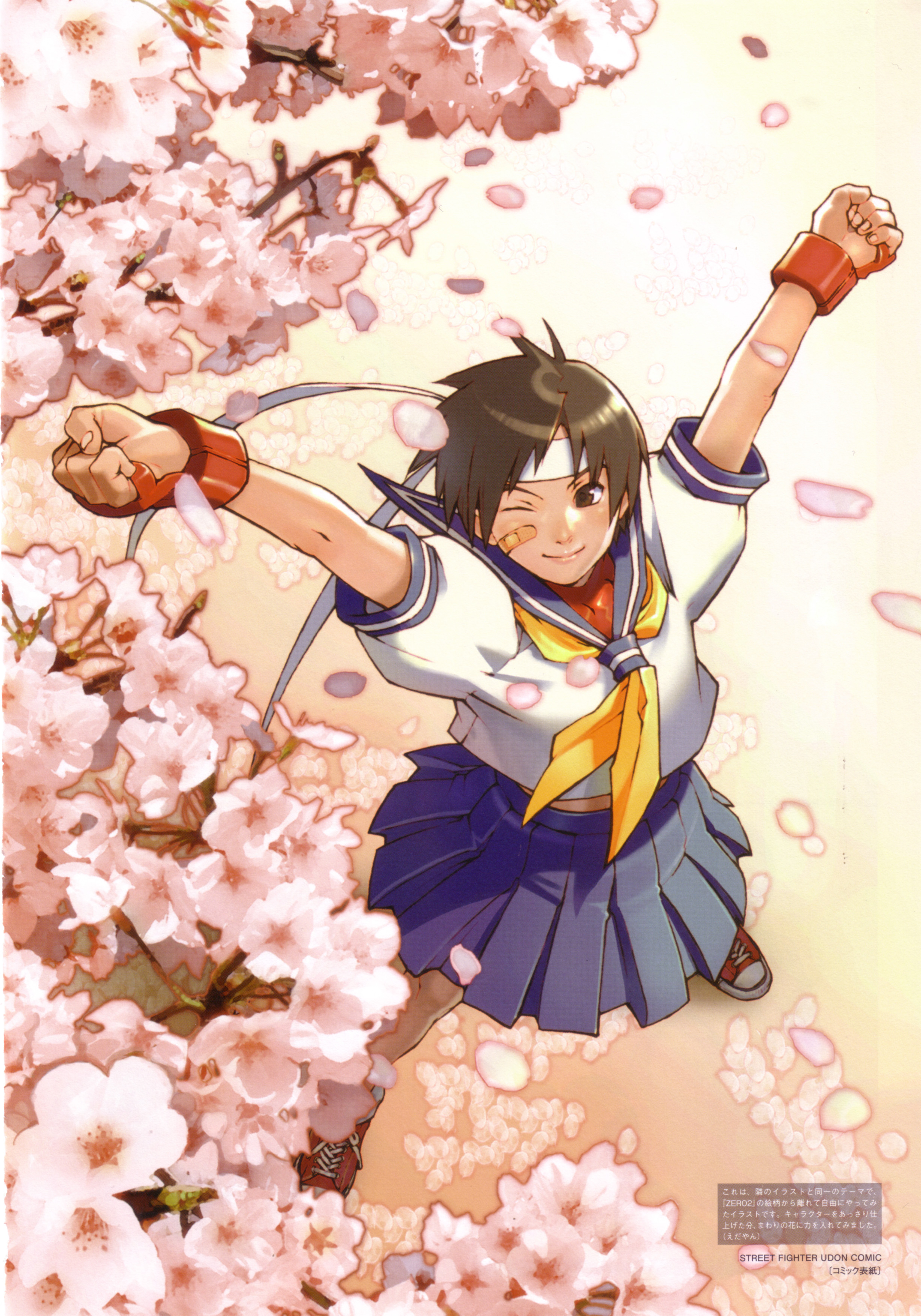 Street Fighter ( ) /  (characters) /   (Sakura Kasugano) / maxiol_Street_Fighter_Sakura_Kasugano_150376_.jpg
