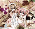 Seto no Hanayome/ /瀬戸の花嫁 /  / maxiol_seto_no_hanayome_129497_.jpg
