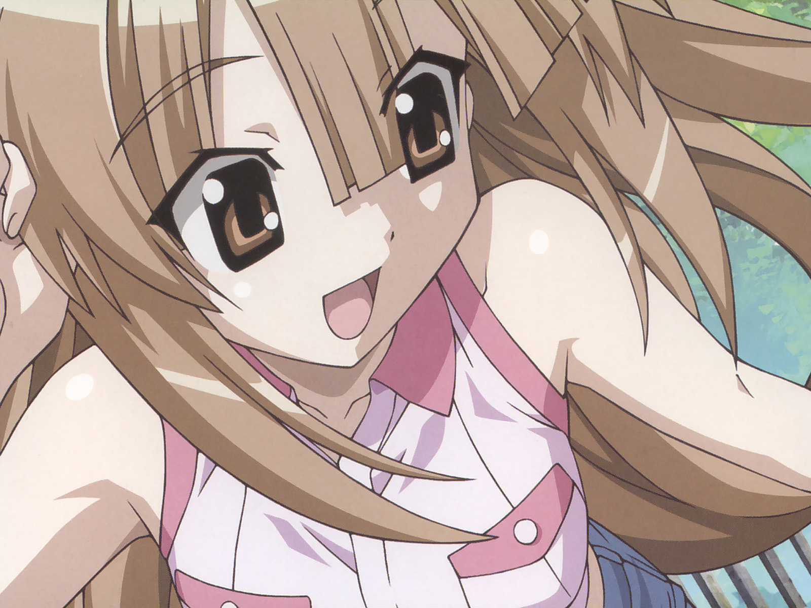 Seto no Hanayome/ /瀬戸の花嫁 /  / maxiol_seto_no_hanayome_129505_.jpg