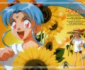 Tenchi Muyo /  / maxiol_Tenchi_Muyo_130641_.jpg