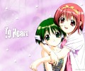 To  Heart /  / maxiol_to_heart_107274_.jpg