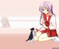 To  Heart /  / maxiol_To_Heart_113992_.jpg