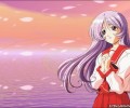 To  Heart /  / maxiol_To_Heart_113998_.jpg