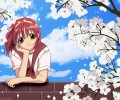 To  Heart /  / maxiol_To_Heart_114091_.jpg