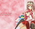 To  Heart /  / maxiol_To_Heart_114381_.jpg