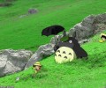 Totoro (Tonari no Totoro / My Neighbor Totoro /    ) /  / maxiol_Totoro_wallpaper_130962_.jpg