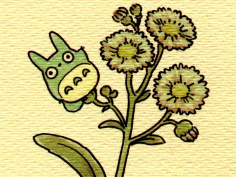 Totoro (Tonari no Totoro / My Neighbor Totoro /    ) /  / maxiol_Totoro_wallpaper_130970_.jpg