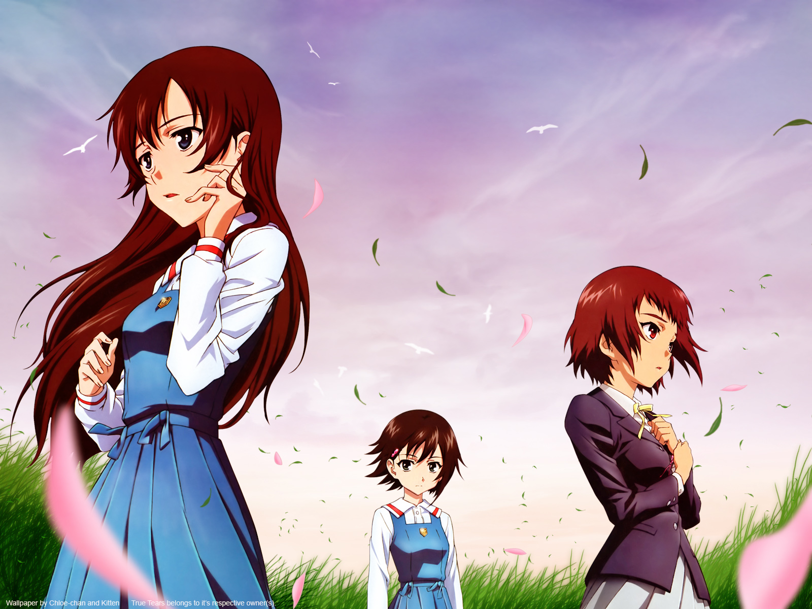 True Tears/ /トゥルーティアーズ /  / maxiol_true_tears_131175_.jpg
