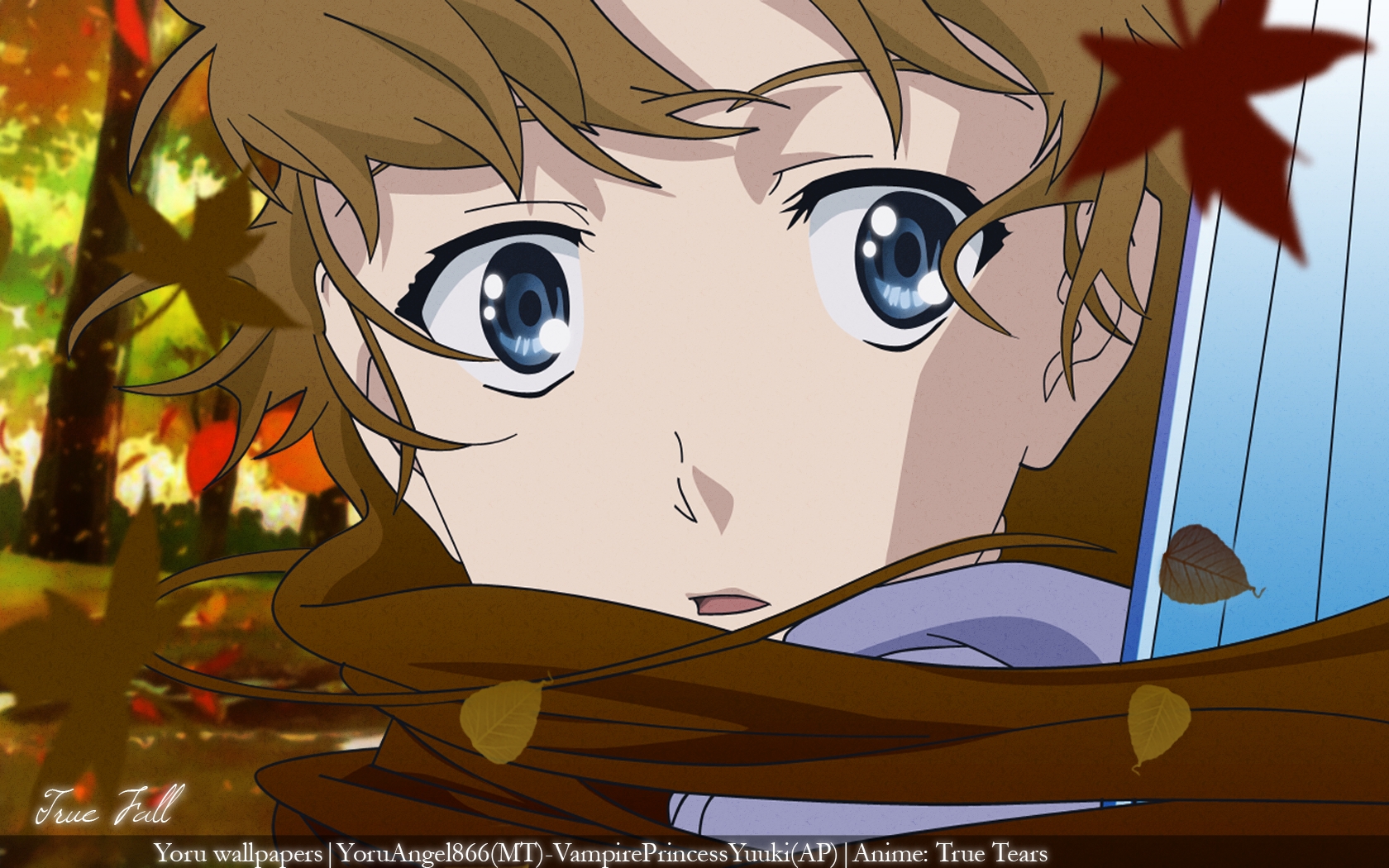 True Tears/ /トゥルーティアーズ /  / maxiol_true_tears_131181_.jpg
