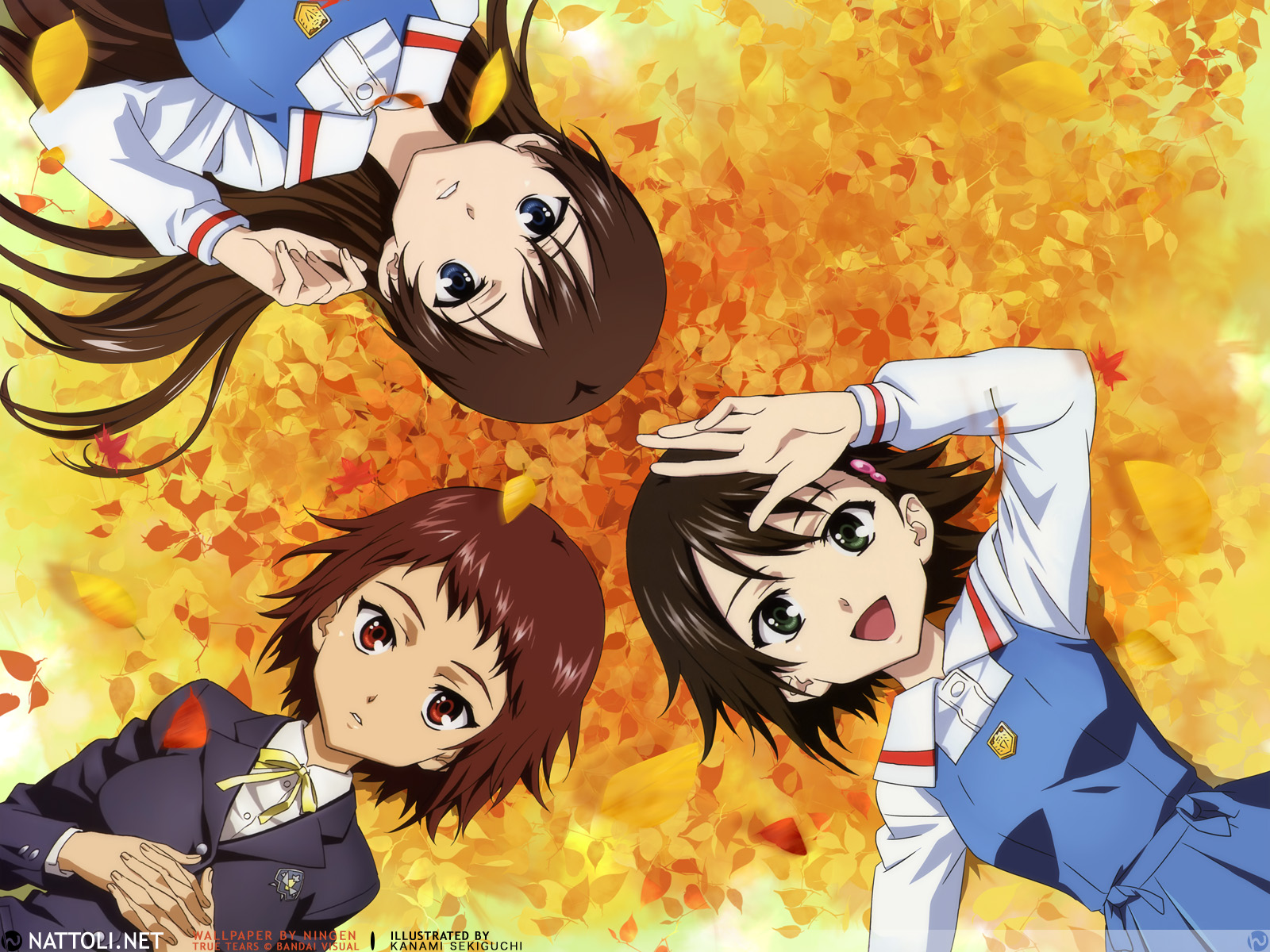 True Tears/ /トゥルーティアーズ /  / maxiol_true_tears_131184_.jpg