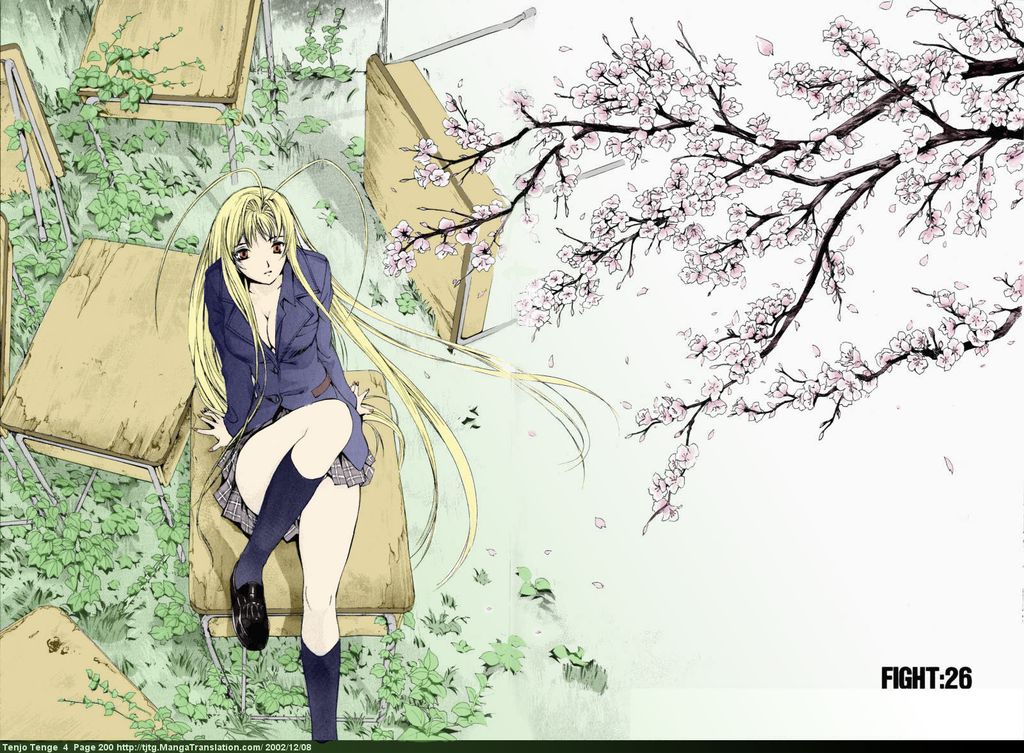 Tenjou Tenge  /  / maxiol_tenjou_tenge_137730_.jpg