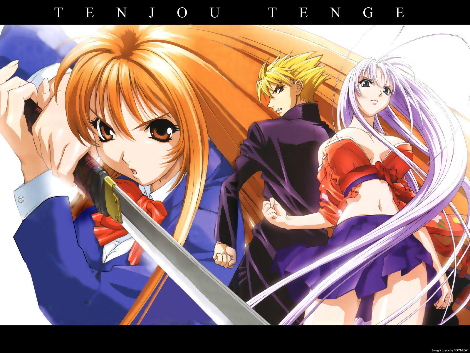Tenjou Tenge  /  / maxiol_tenjou_tenge_120856_.jpg