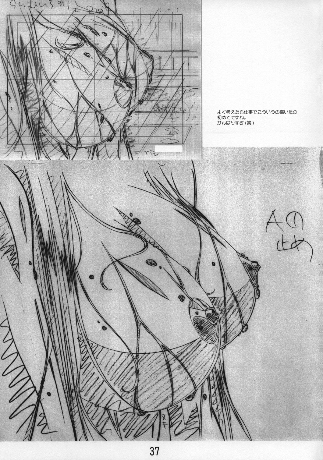Vandread /  / Shimahokke 5 / maxiol_Shimahokke_5_198995_.jpg