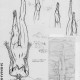 Vandread /  / Shimahokke 6 / maxiol_Vandread_Shimahokke_6_204468_.jpg