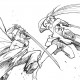 Vocaloid / BRS / maxiol_Vocaloid_BRS_200659_.jpg