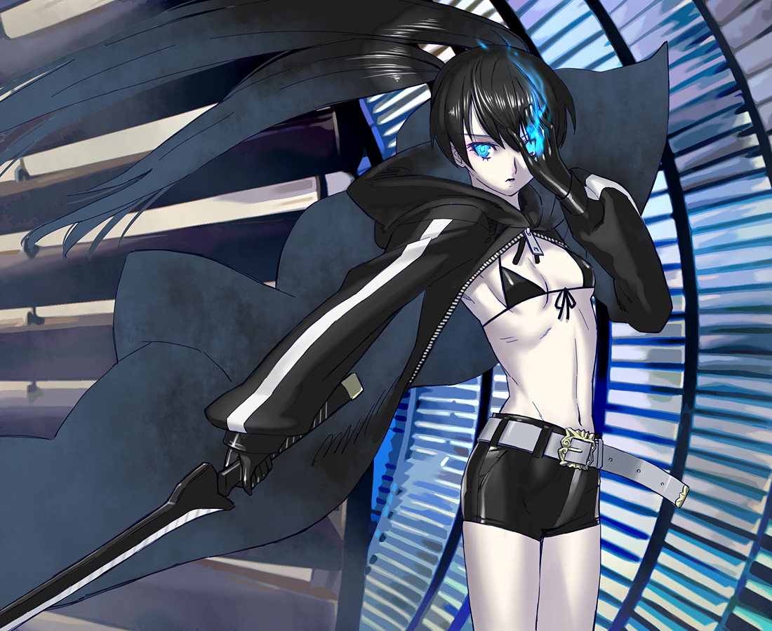 Vocaloid / BRS / maxiol_Vocaloid_BRS_201106_.jpg