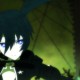 Vocaloid / BRS / maxiol_Vocaloid_BRS_201724_.jpg