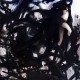 Vocaloid / BRS 2 / maxiol_Vocaloid_BRS_2_202974_.jpg