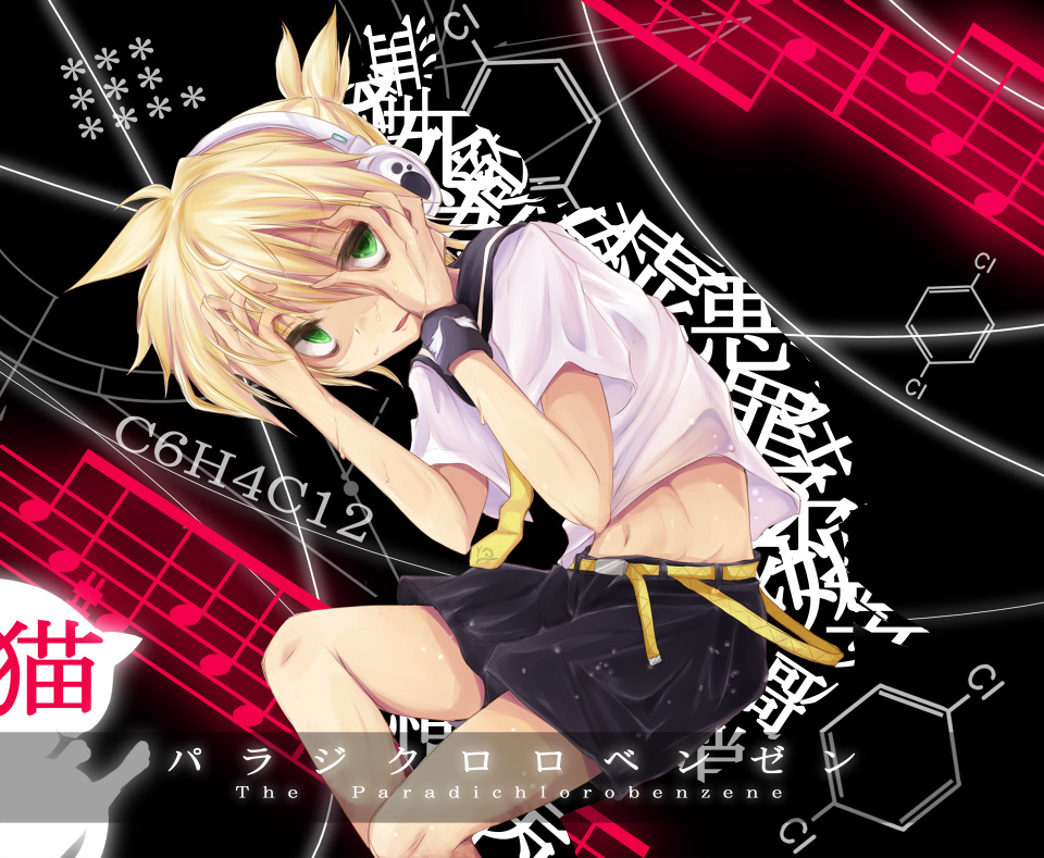 Vocaloid /  / maxiol_vocaloid_art_174495_.jpg