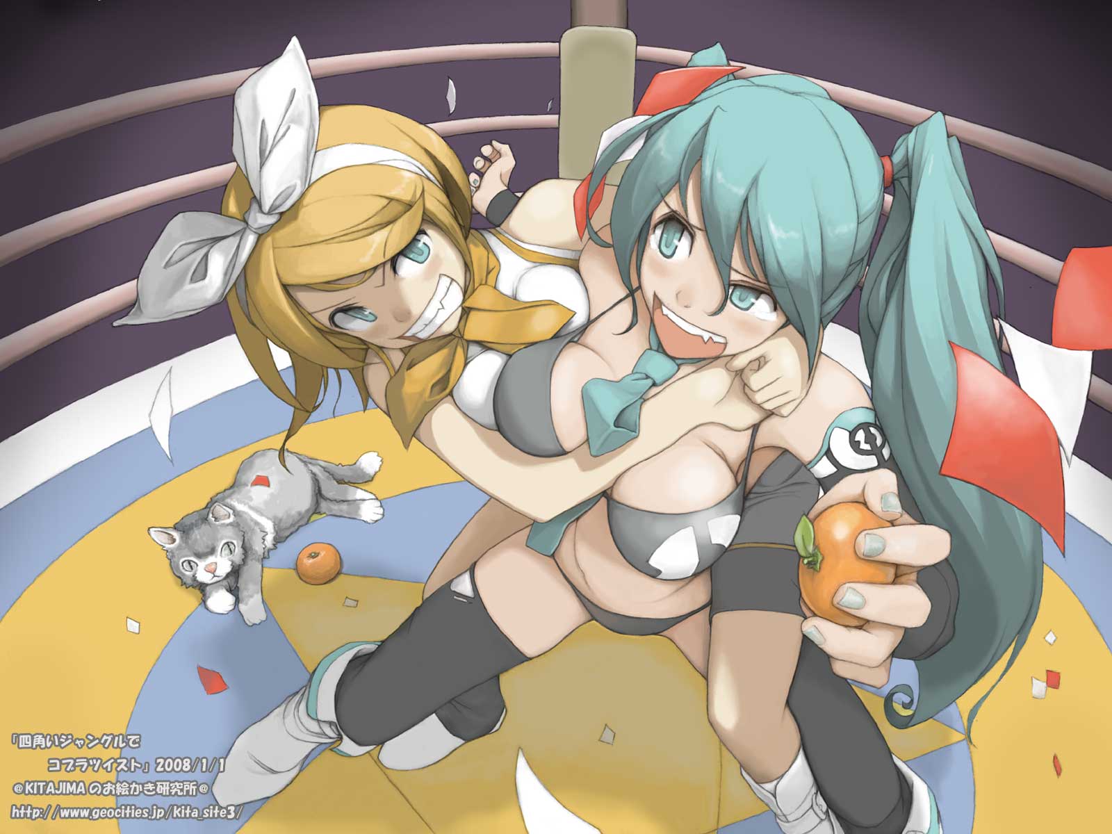 Vocaloid /  3 / maxiol_vocaloid_wallpaper_3_213565_.jpg