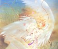W Wish /  / maxiol_Wish_139502_.jpg