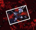 Weiss Kreuz /  / maxiol_Weiss_Kreuz_138193_.jpg