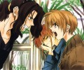Weiss Kreuz /  / maxiol_Weiss_Kreuz_138253_.jpg