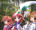 Wind Forest /  / maxiol_Wind_Forest_132586_.jpg