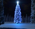wallpapers_wide ( ) /  / maxiol_wallpapers_wide_133822_.jpg