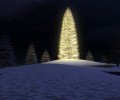 wallpapers_wide ( ) /  / maxiol_wallpapers_wide_133824_.jpg