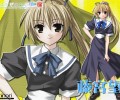 Wind Pleasurable Box /  / maxiol_wind_pleasurable_box_132591_.png