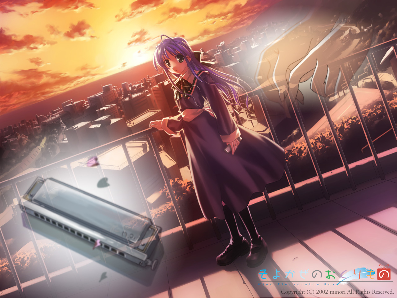 Wind Pleasurable Box /  / maxiol_wind_pleasurable_box_132599_.png