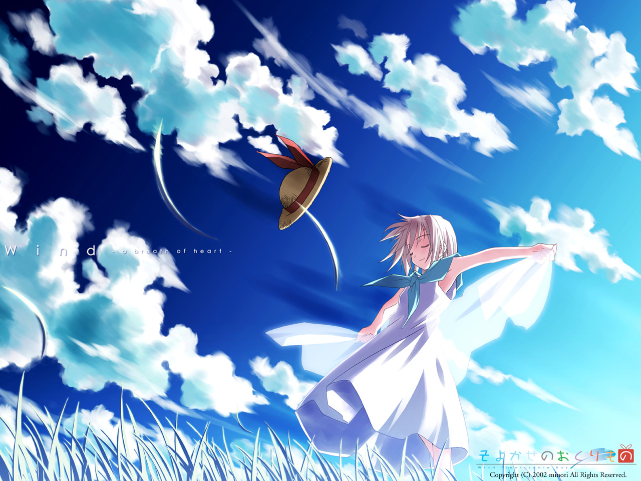 Wind Pleasurable Box /  / maxiol_wind_pleasurable_box_132603_.png