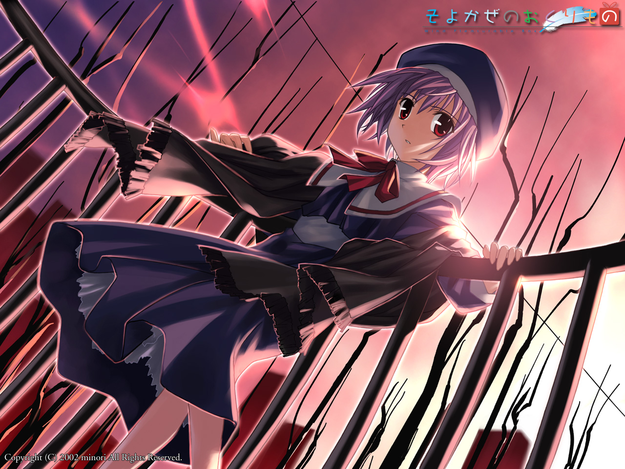 Wind Pleasurable Box /  / maxiol_wind_pleasurable_box_132614_.png