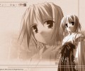 Wind Pleasurable Box /  / maxiol_wind_pleasurable_box_132628_.png