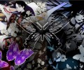 XXXHOLiC /  / Art / maxiol_xxx_holic_art_92578_.jpg