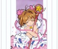 maxiol_Card_Captor_Sakura_wallpaper_2_113411_.jpg - 1024x768 284.88kB 