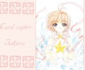 maxiol_Card_Captor_Sakura_wallpaper_2_113573_.jpg - 1024x768 232.84kB 