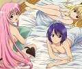 maxiol_to_love_ru_130861_.jpg - 1440x900 614.12kB 