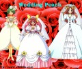 maxiol_Wedding_Peach_132426_.jpg - 1276x1000 273.33kB 