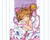maxiol_Card_Captor_Sakura_wallpaper_3_182824_.jpg - 1024x768 284.88kB 