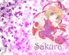 maxiol_Card_Captor_Sakura_wallpaper_3_182982_.jpg - 1024x768 502.57kB 